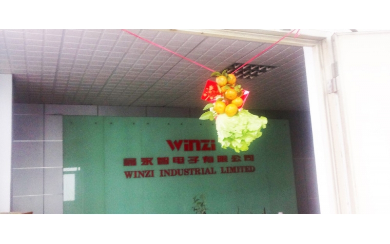 每年的翠海工業園都會有年初開業舞獅表演