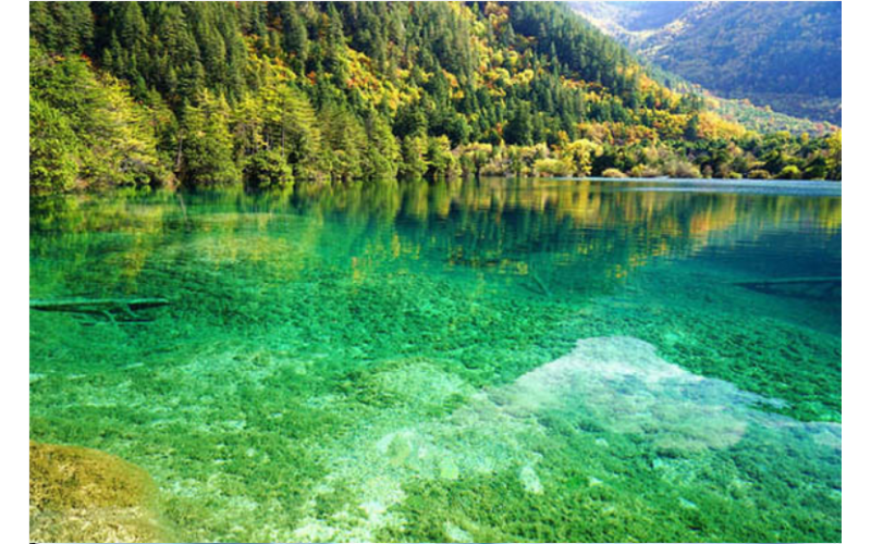 深模公司企業文化- “  和而不同 “